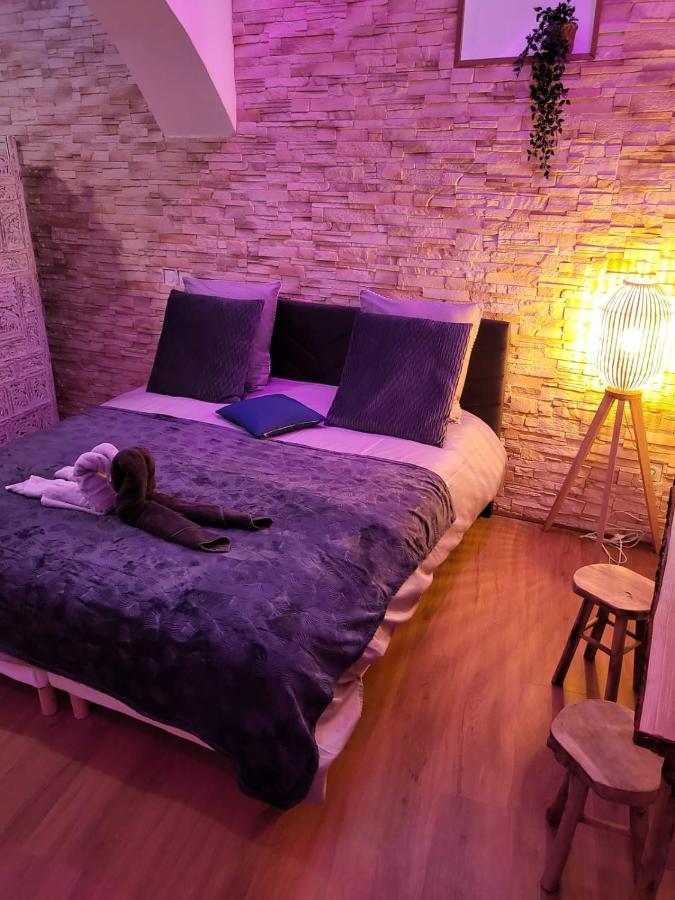 Le Spa De La Cathedrale - Jacuzzi - Sauna - Champagne - Netflix - Wifi Troyes Zewnętrze zdjęcie