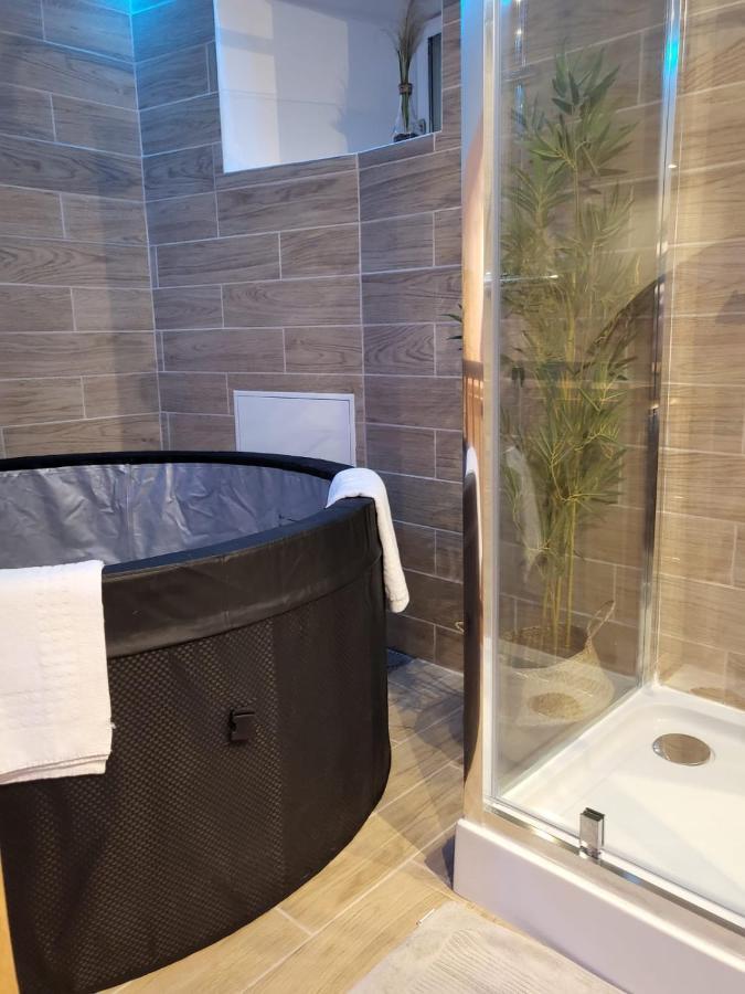 Le Spa De La Cathedrale - Jacuzzi - Sauna - Champagne - Netflix - Wifi Troyes Zewnętrze zdjęcie